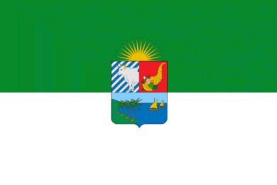 provincial flag