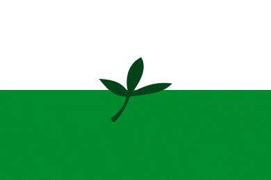 provincial flag