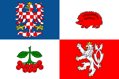 provincial flag