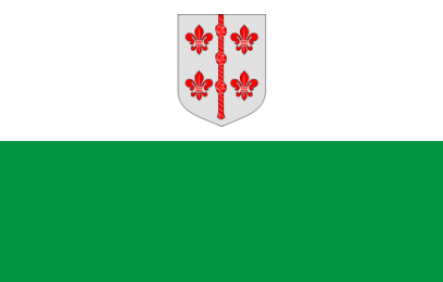 provincial flag