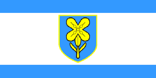 provincial flag