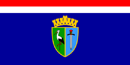 provincial flag