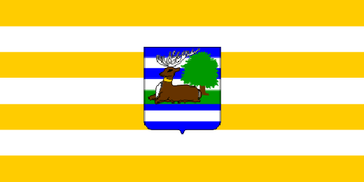 provincial flag